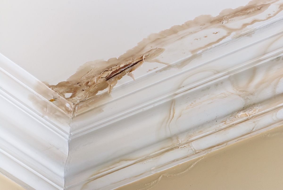 Water Damage Retoration,